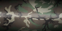 File:Camo woodland.png