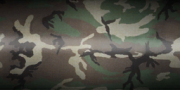 Thumbnail for File:Camo woodland.png